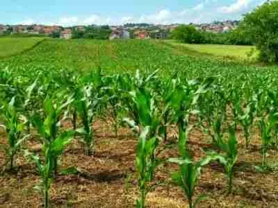 NEOLIFE PRODUCTS Full Traceability from Farm to table